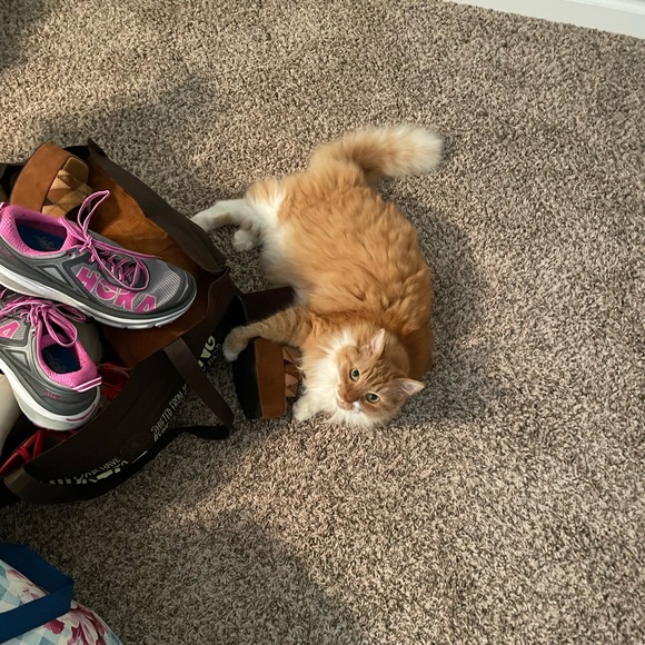 welcome to micallenresale!! - Picture 4 of 7